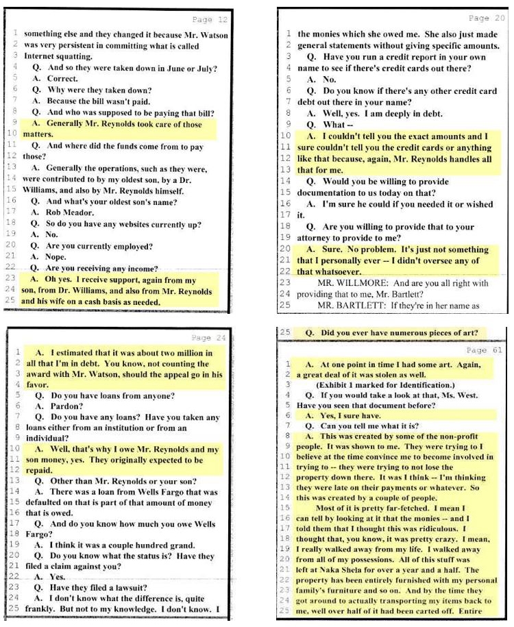 Rishi Devra, Devra West, OmniAwakening